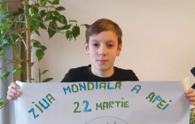 Clasă a III-a B, Școala Nichita Stănescu, Baia Mare, prof. Marinescu Marinica Maria