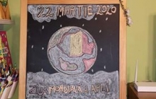 Clasă a III-a B, Școala Nichita Stănescu, Baia Mare, prof. Marinescu Marinica Maria