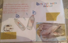 clasa a IV-a D, de la Scoala Gimnaziala "George Cosbuc" Baia Mare, prof.pt.inv.primar Hosciuc Lacramioara