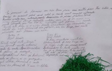 clasa a IV-a D, de la Scoala Gimnaziala "George Cosbuc" Baia Mare, prof.pt.inv.primar Hosciuc Lacramioara