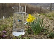 Ziua Mondială a Apei 2026 -Târgu Lăpuș